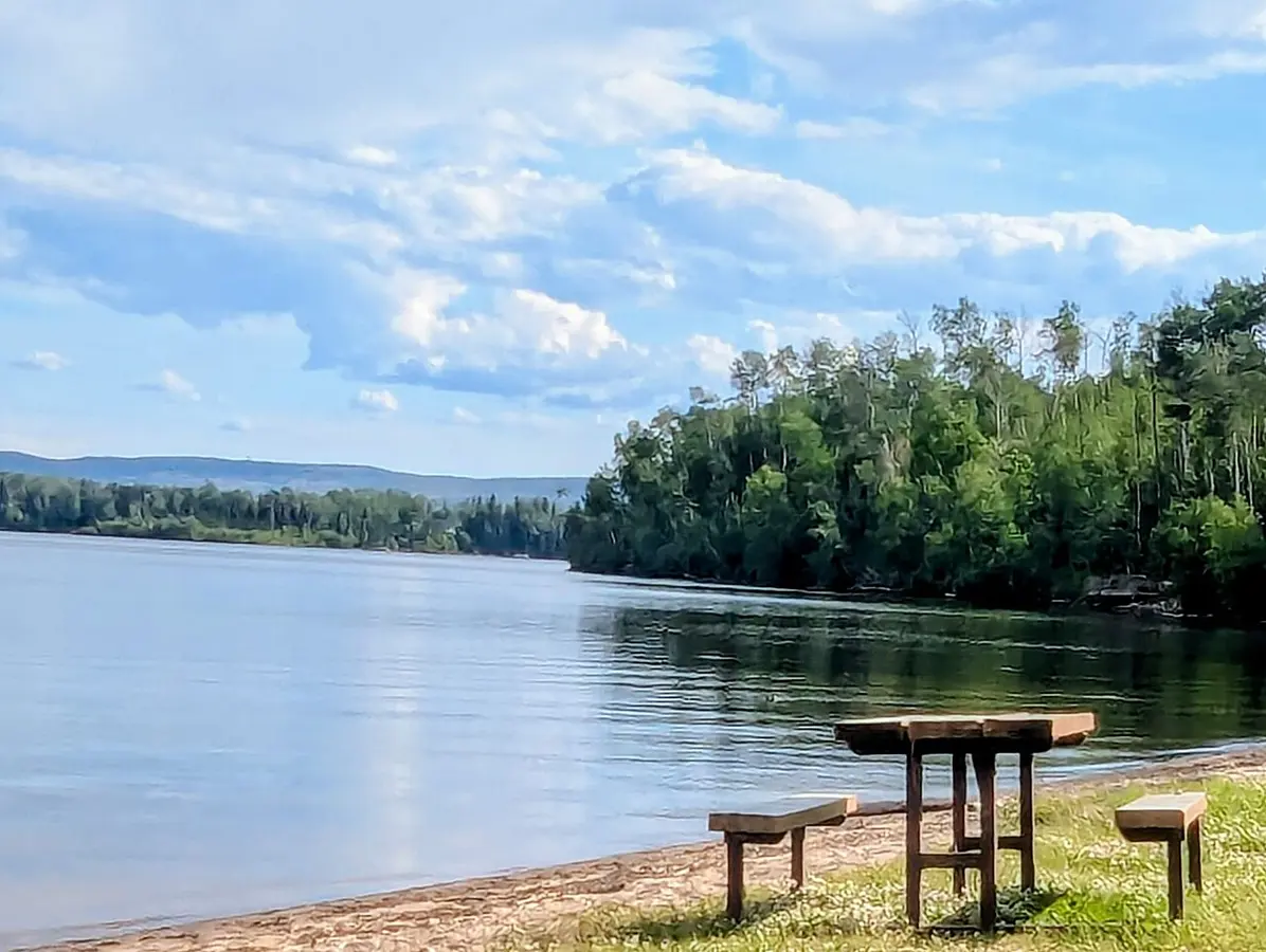 Bancos à beira de um lago tranquilo, cercado de árvores sob céu azul