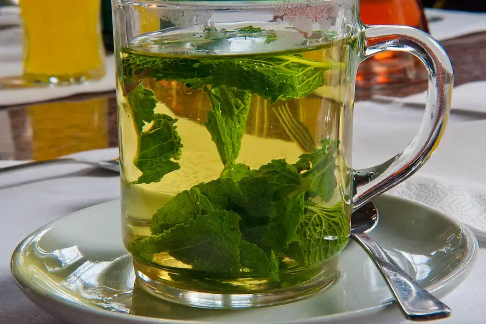 Caneca de vidro com chá de hortelã e folhas frescas em infusão, sobre um pires