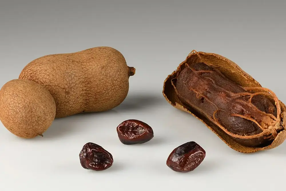 Vagens de tamarindo abertas mostrando a polpa marrom ao lado de um copo de suco